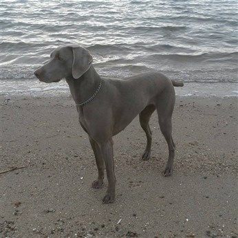 Image of Freja (DKK 13197/2012)