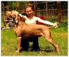 Thumbnail of Asa's Hunter the Pink One