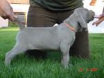 Thumbnail of Juliet from Grey Valley