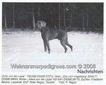 Thumbnail of Erbo von der Lippe