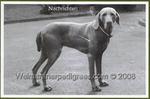 Thumbnail of Cid von der Totenalb