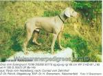 Thumbnail of Eros vom Eulengrund