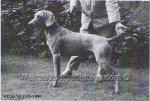 Thumbnail of Ragstone Rommel