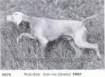 Thumbnail of Golo vom Zehnthof