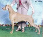 Thumbnail of Win'Weim-Graytsky Cowboy Boots