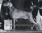 Thumbnail of Camelot's Matinee Idol