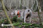 Thumbnail of Viatka