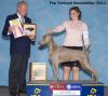 Thumbnail of Rissana Hillwood's Just Plain Perfect
