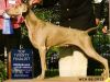 Thumbnail of Silver Clouds Grand Contessa