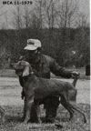 Thumbnail of Gandalf of Ekselo II