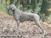 Thumbnail of Atrey Forever Hero of Diam Weim