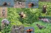 Thumbnail of Hike des Brumes des Bois