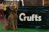 Thumbnail of Whitecross Monty