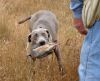 Thumbnail of Kiah Hanson