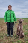 Thumbnail of Southpaw N Regen's Farm Boy