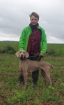 Thumbnail of Southpaw's Roxanne at Brumes des Bois