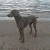 Thumbnail of Freja (DKK 13197/2012)